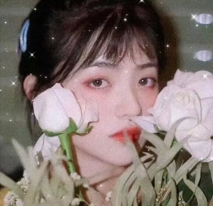 疯狂衣橱第一季